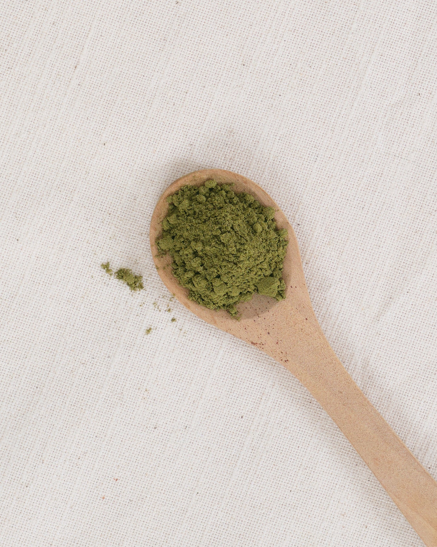 Basil Powder -Pot