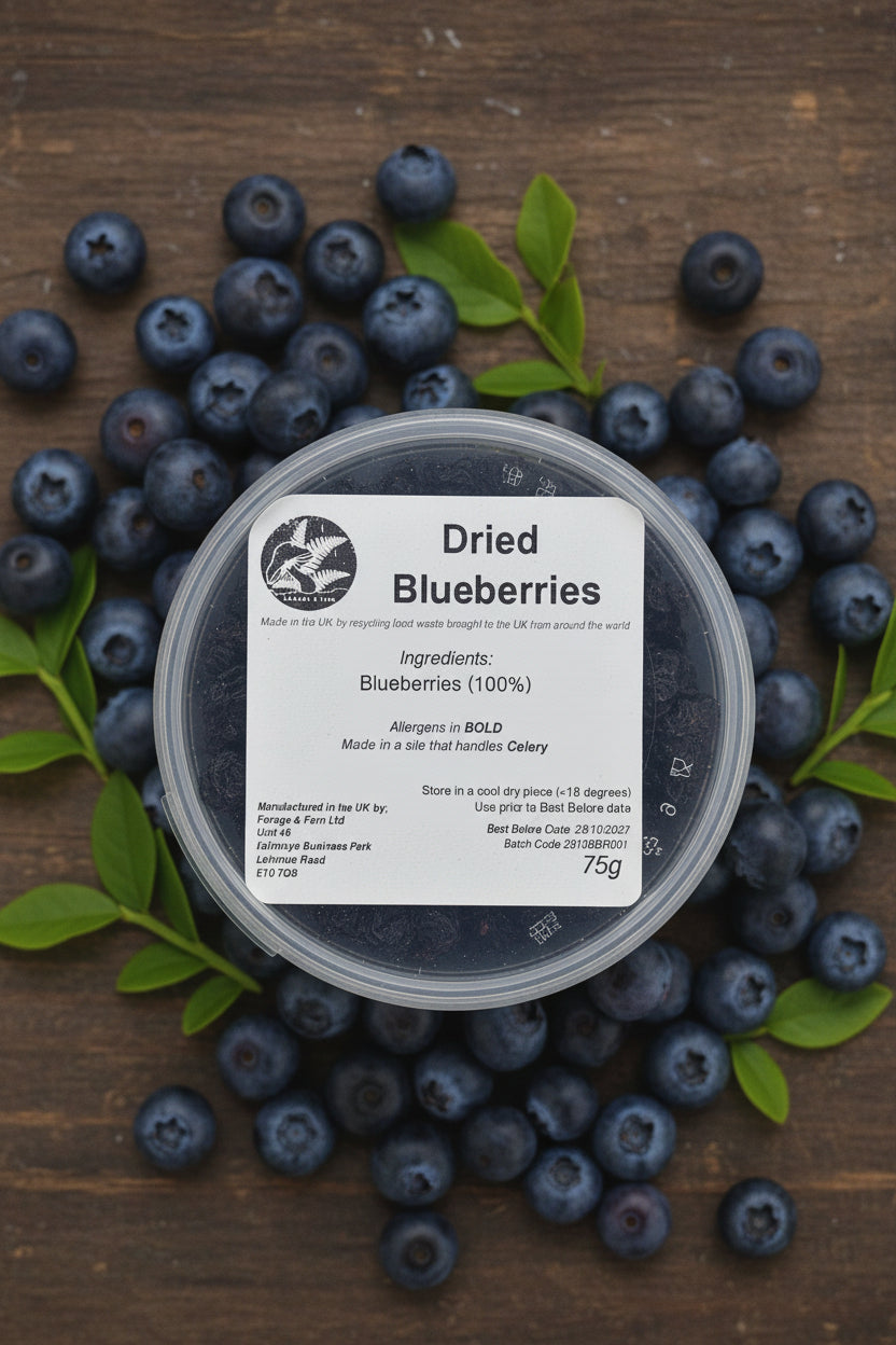 Container of dried blueberries with a label on a rustic background